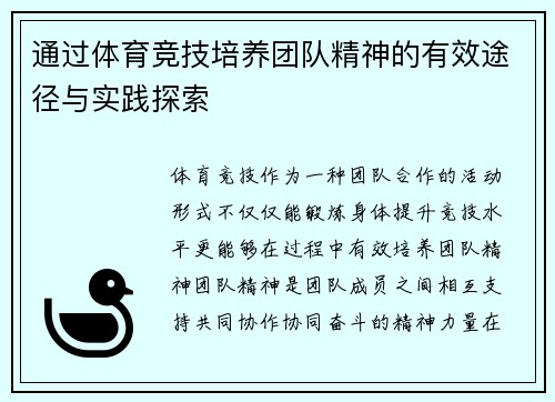 通过体育竞技培养团队精神的有效途径与实践探索